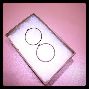 Dainty Purple Hoops
